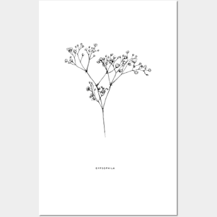 Gypsophile Posters and Art